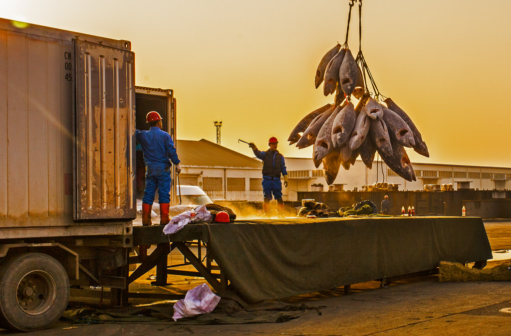 002《捕获》大连集装箱码头有限公司的工人正在装卸一艘国外船内的