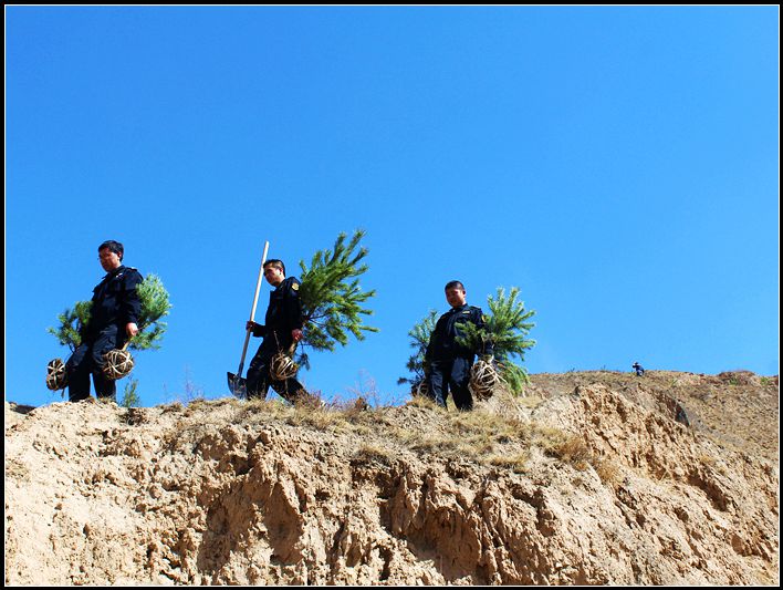 植树造林绿荒山