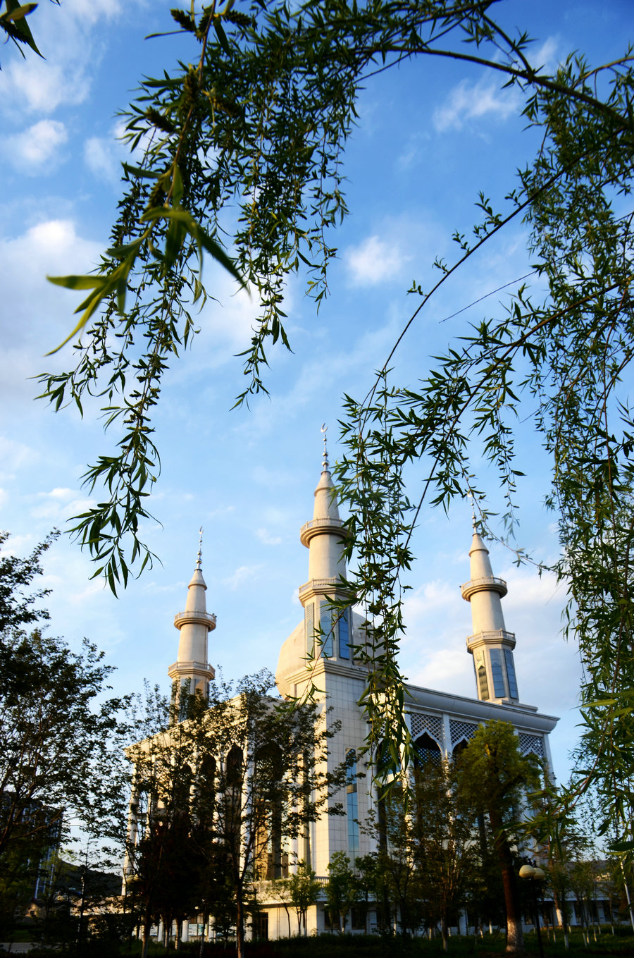 回乡风情园清真寺的夏天 窦苗苗 13830806998 张家川县城 2017年5月9
