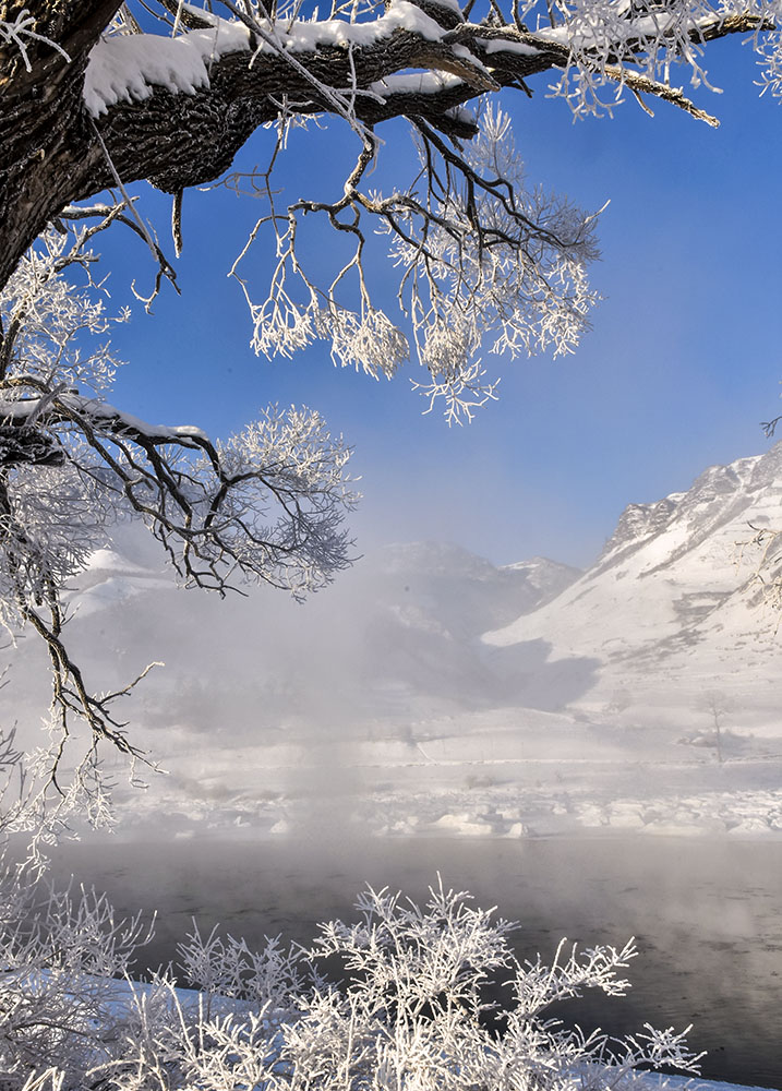 雪松-长白山·鸭绿江上游山水画廊全国摄影大展投稿区-大众摄影网
