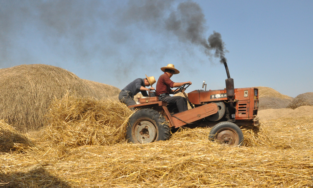 《碾麦场 》组照之二2015年武山县 咀头乡