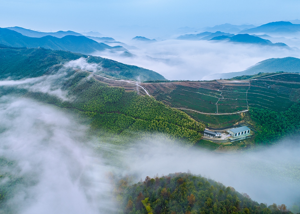 天泉山上有民宿