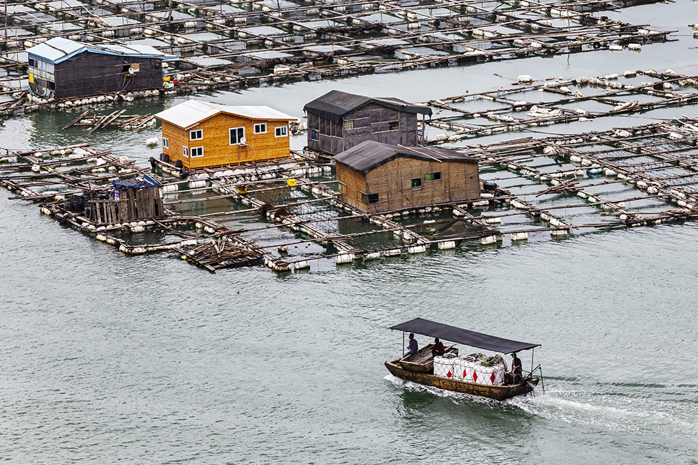 渔城物流(组照)
