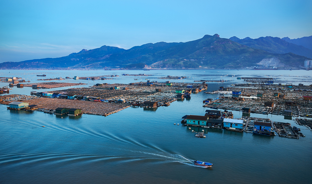 2017年7月26日下午拍摄于三都澳