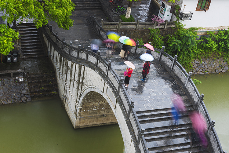 雨中望月桥