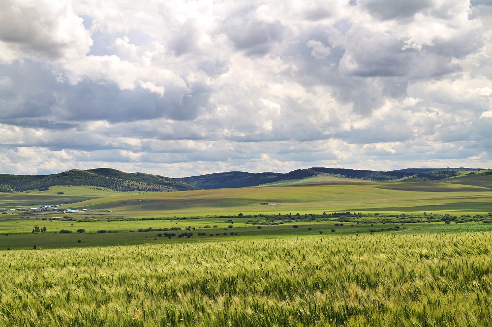 大美呼伦贝尔草原之《希望的原野》组图3幅照片