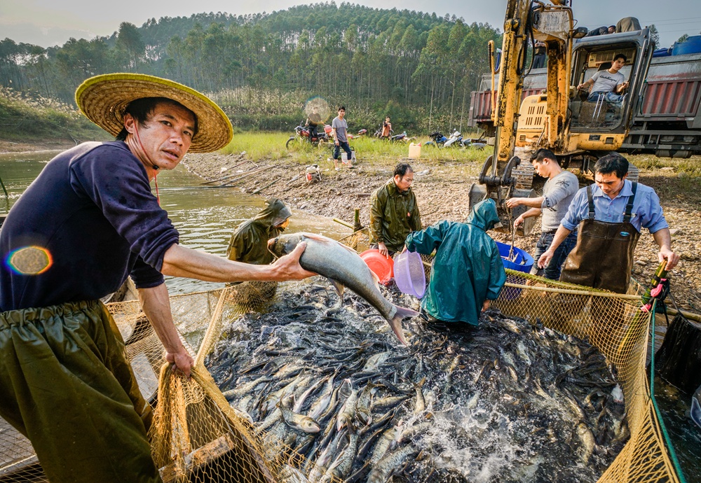 组图:水库专业养鱼人