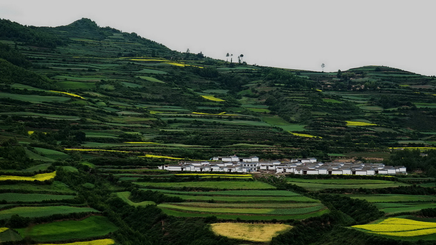 陇上江南天水农村新貌