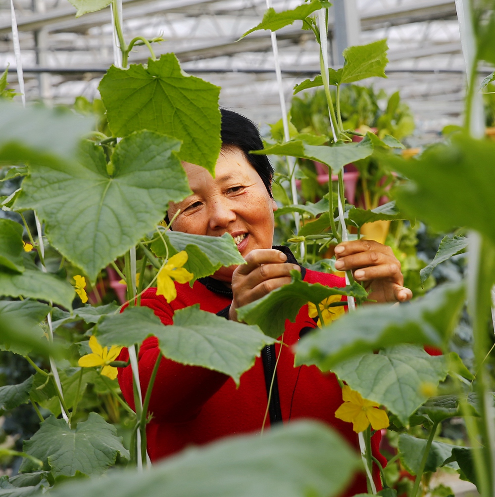 农民新面貌-全国金融系统纪念中国改革开放40周年(平安银行杯)摄影展