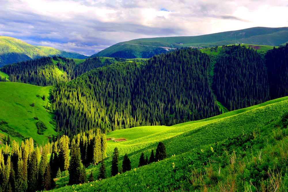 青山绿山生态美 "千灯杯"中国好风光全国摄影大展征稿