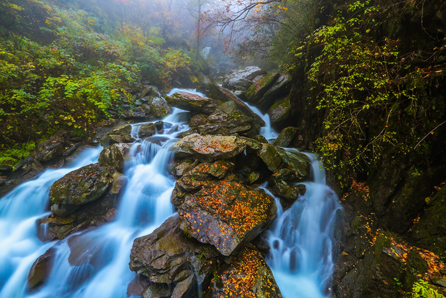 (组图)神农架秋韵