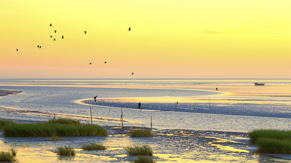 位于江苏省盐城市东台弶港滩涂晨曦美,金色耀眼,让人陶醉.