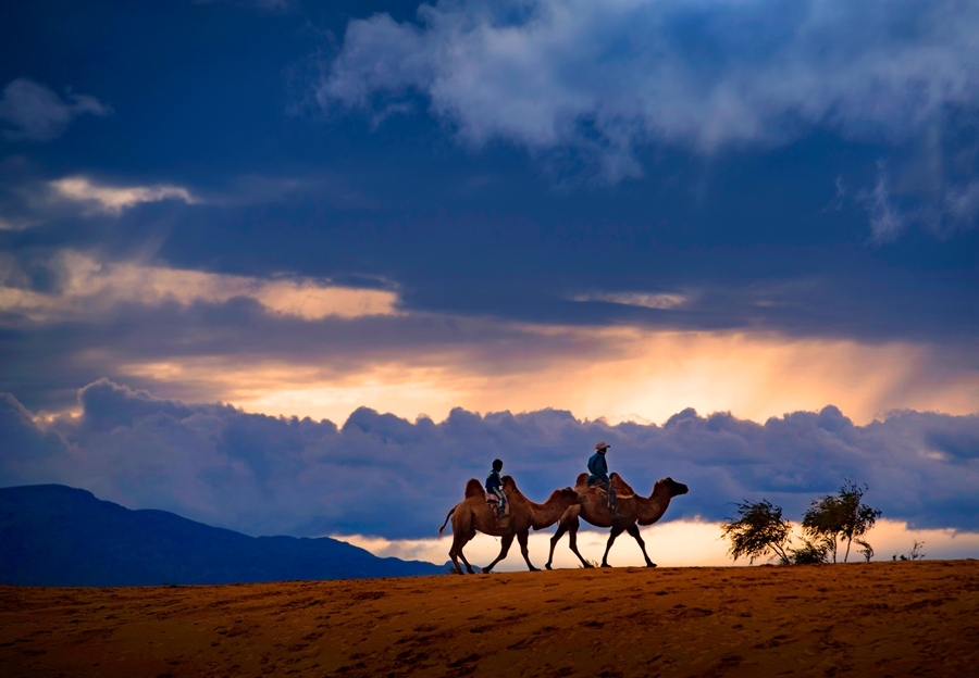 沙漠驼铃 2017年8月摄于蒙古 沙漠骆驼与云海的美景