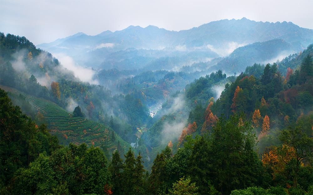 空山新雨后