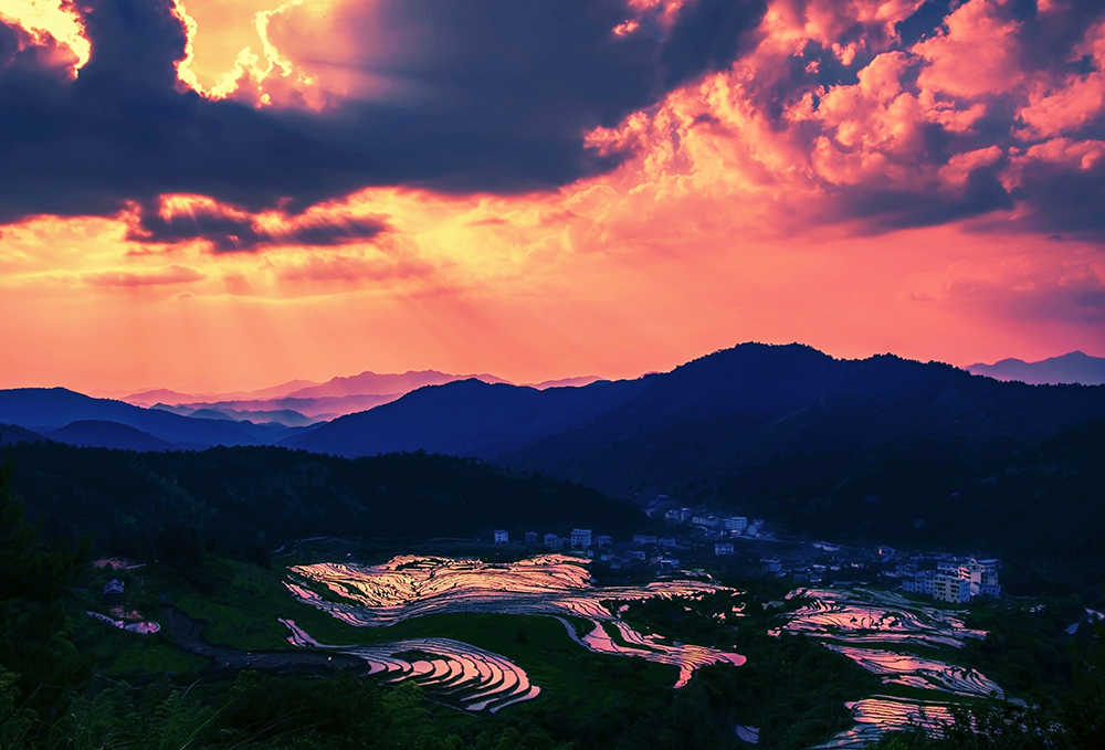 《夕染梯田》-"千灯杯"中国好风光全国摄影大展投稿区-大众摄影网