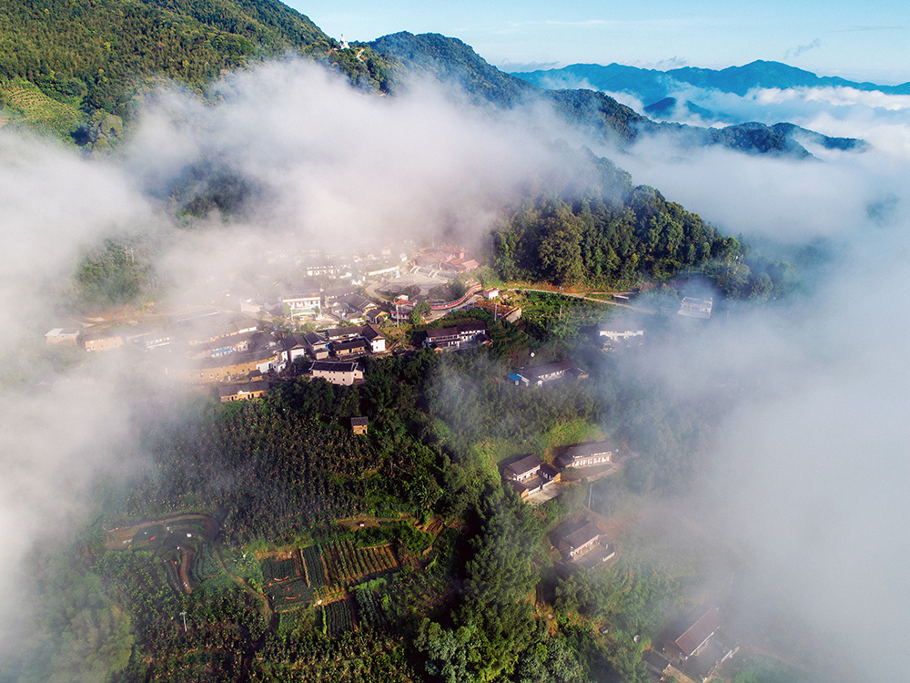 白云深处有人家(组照)