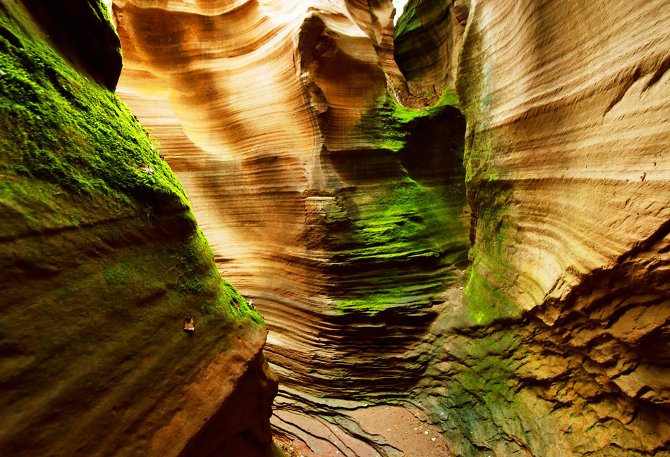 组照《中国羚羊谷》共8幅