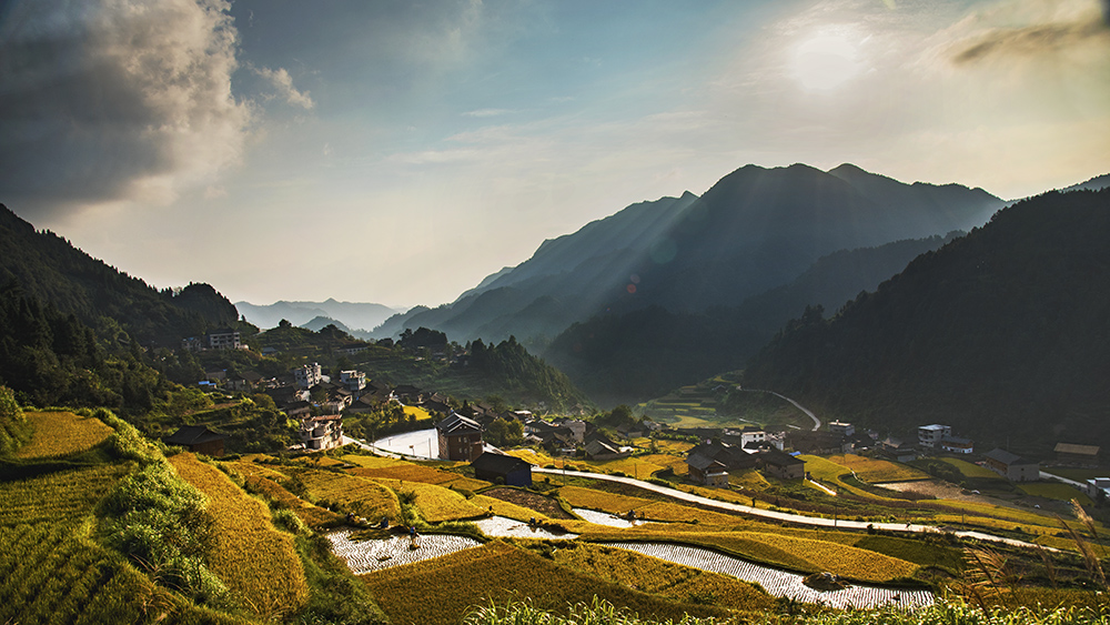 《大山里的金秋》