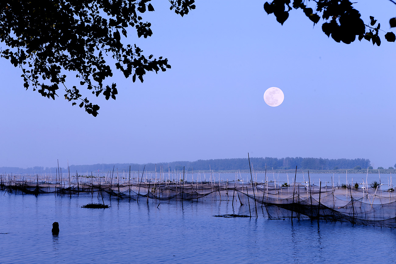中秋月色.jpg