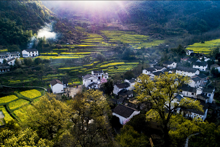 3.24摄于安徽省石台县白石岭