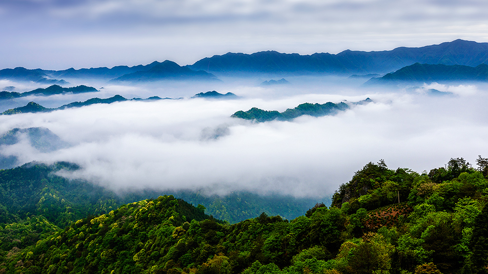 《仙寓山云海》组照