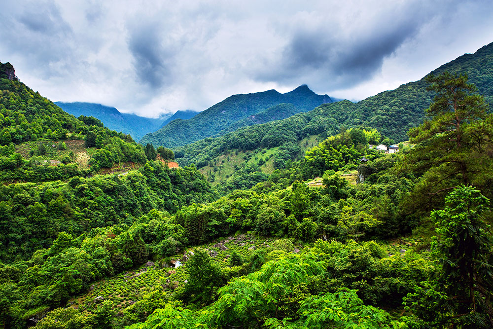 崇山峻岭牯牛降