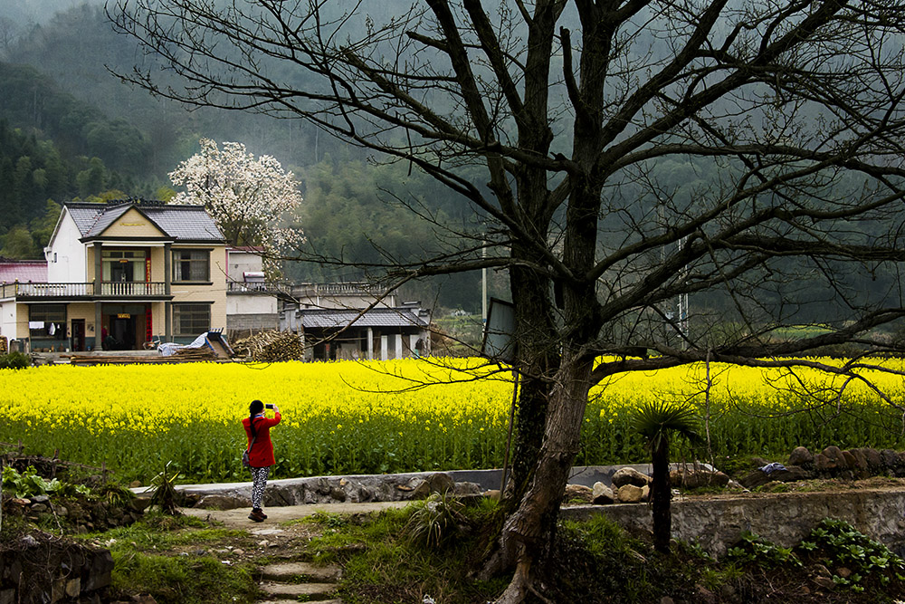 (组照)《谁不说咱家乡美》-原生态最美山乡 —安徽石台"全国摄影大展
