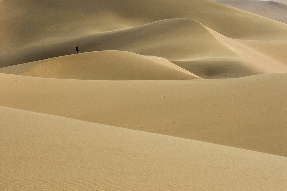 作品标题:大漠孤影