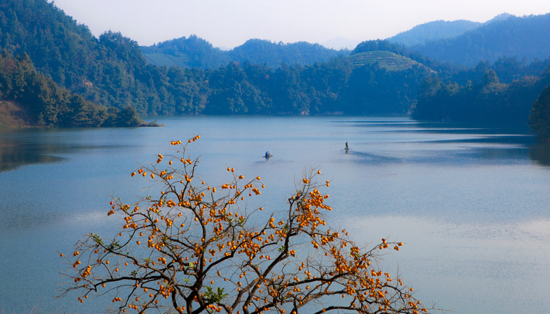 "仍怜故乡水,万里送行舟"