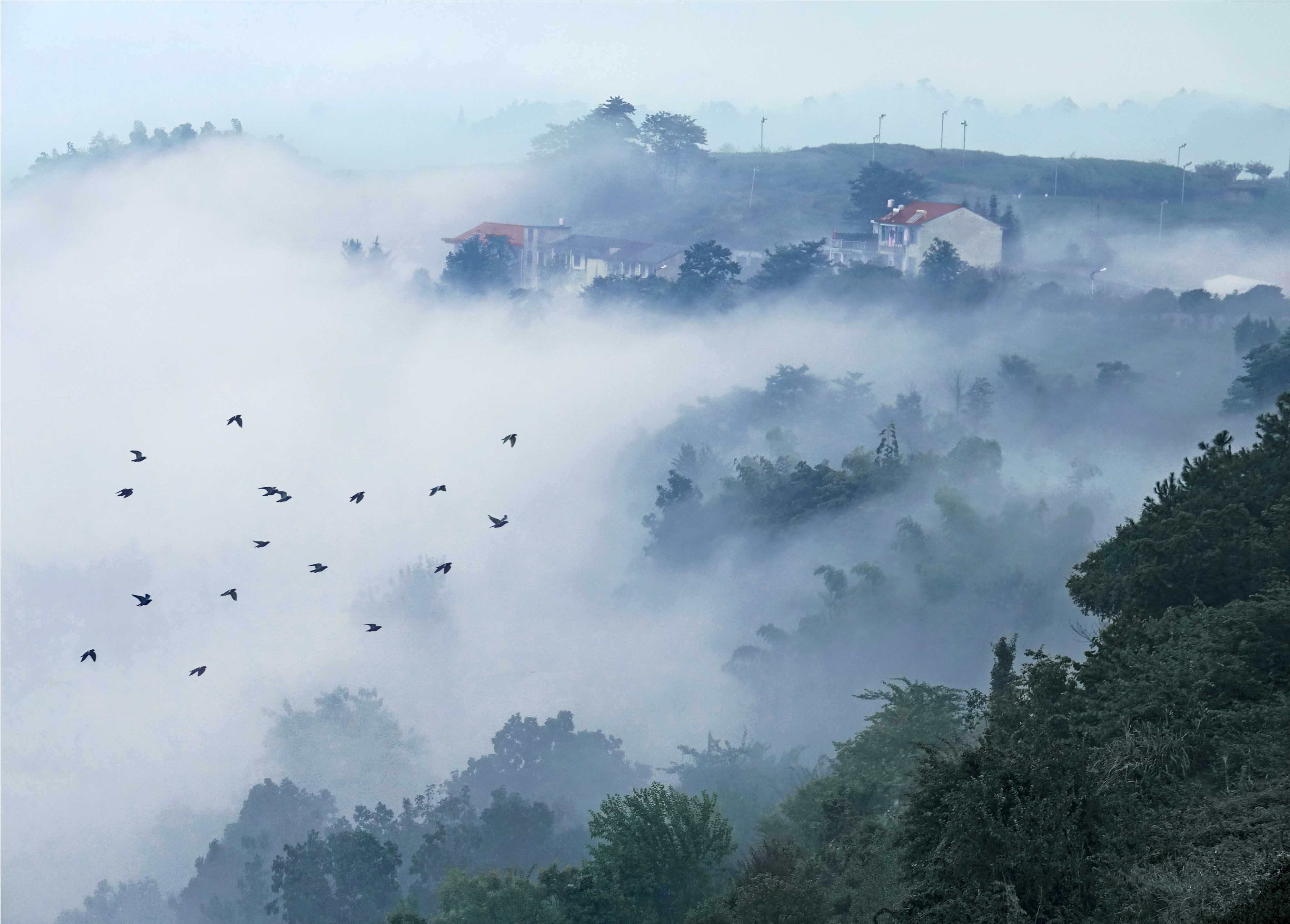 《白云深处》摄于新昌东茗下岩贝村