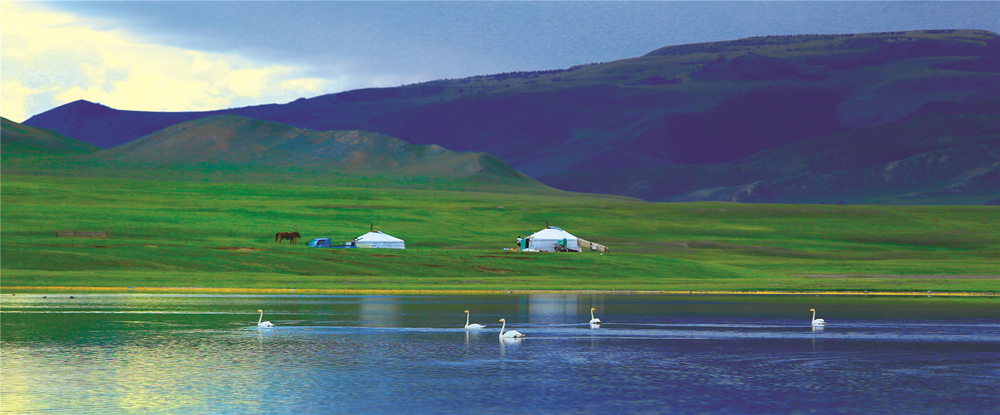 《静谧》拍摄地:新疆维吾尔族自治区巴音布鲁克天鹅湖