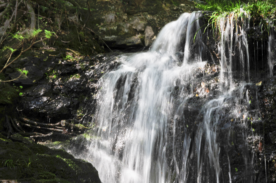 《瀑布》说明:2017年4月30日拍于安徽石台仙寓山风景区,瀑布流淌着