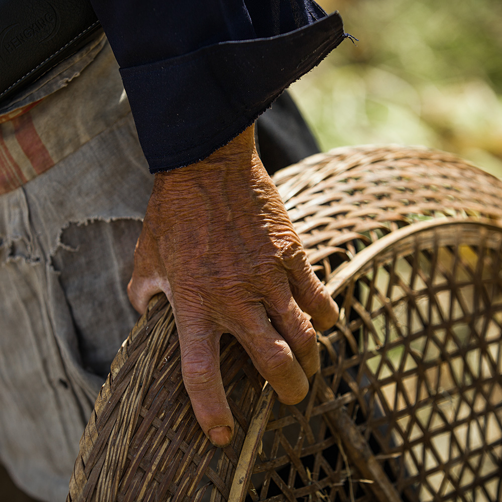 劳动人民的手-原生态最美山乡 —安徽石台"全国摄影大展投稿区-大众