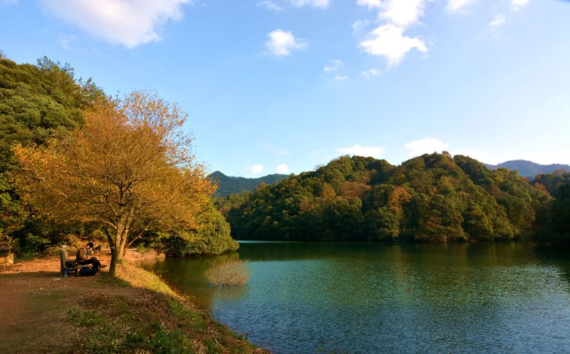 秋意浓浓的南陵小格里