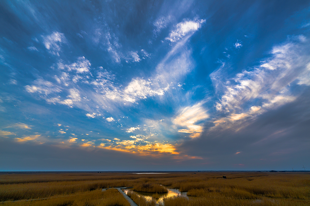 东滩湿地(组照)