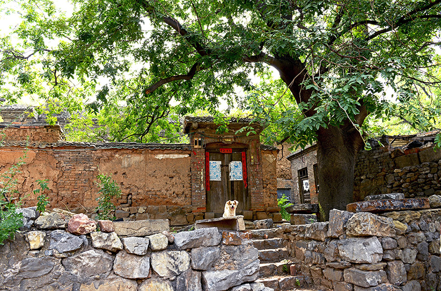 "乡村即景"   摄于河南焦作沁阳盆窑村