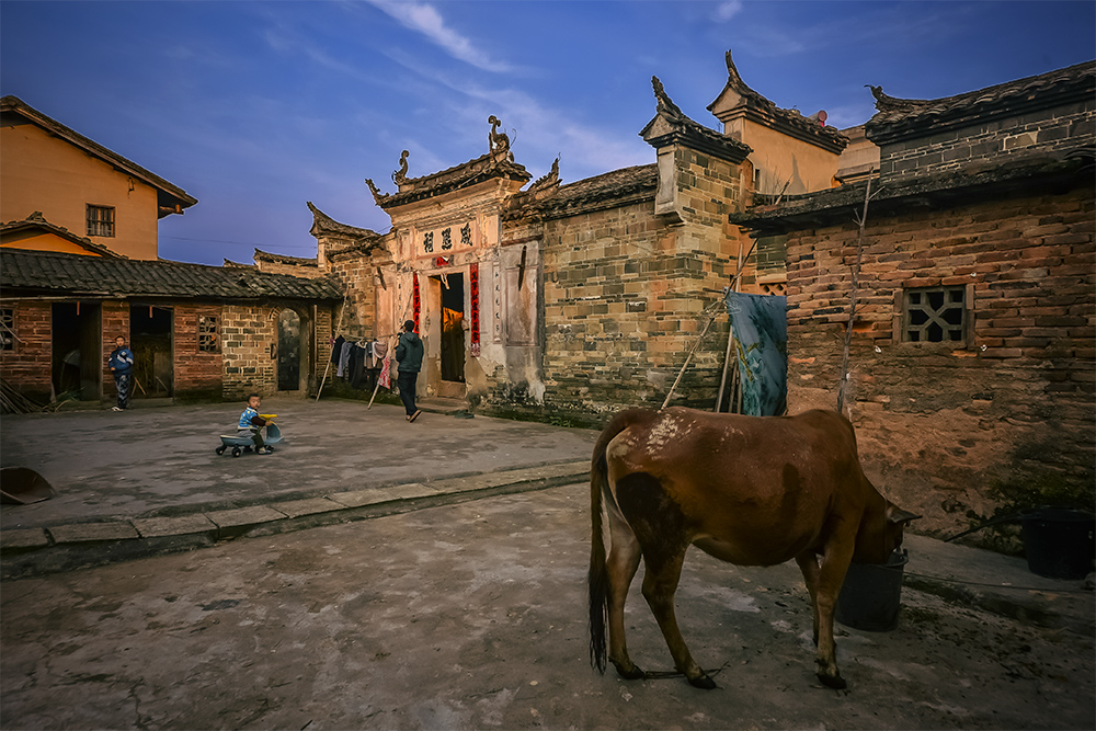 4.2 福建长汀三洲镇 古镇中的古院中的早晨生活.jpg.jpg