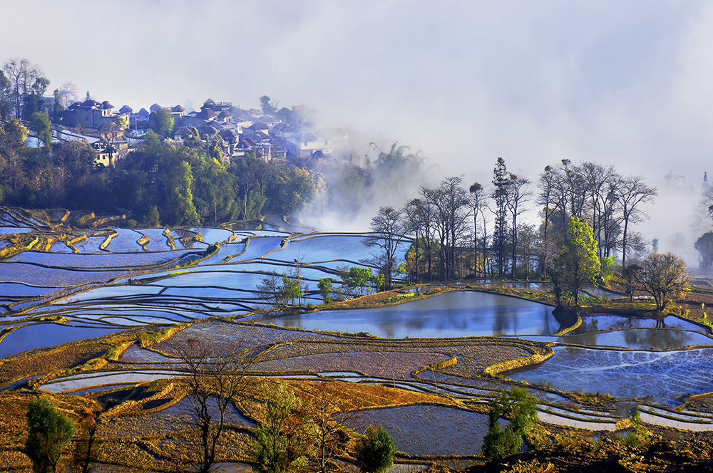 《田园风光》-"千灯杯"中国好风光全国摄影大展投稿区-大众摄影网