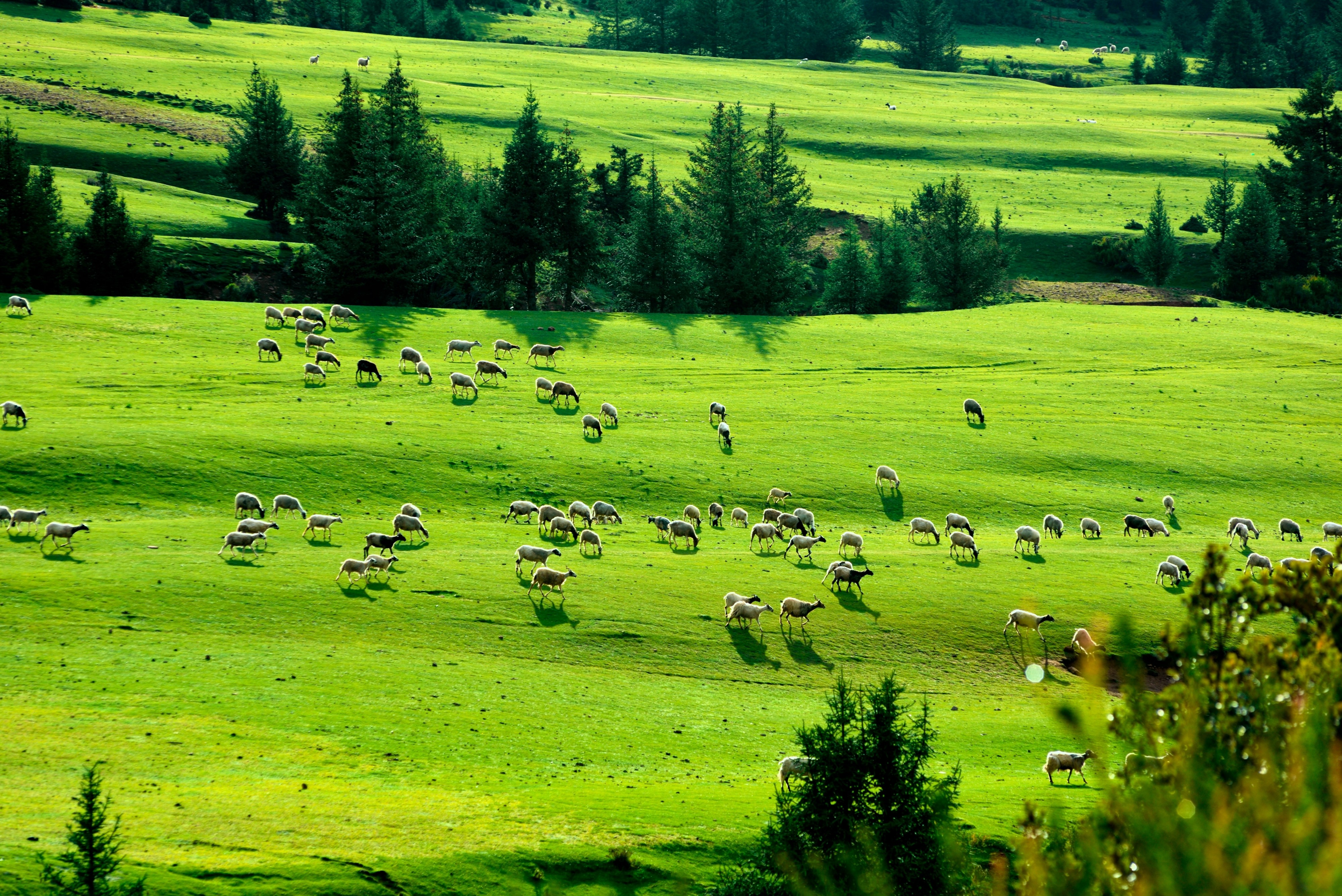 中国好风光 - 大众摄影网