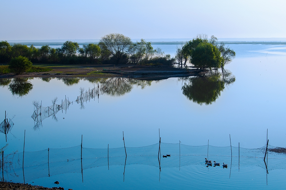 2018年10月2日拍摄于江苏扬州邵伯湖