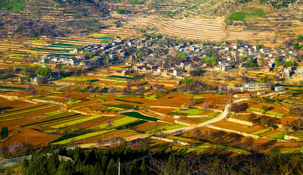 山村春早 2016年4月9日 拍摄于河南省林州市.jpg