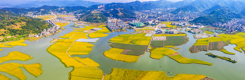 摄于浙江省温岭市坞根镇