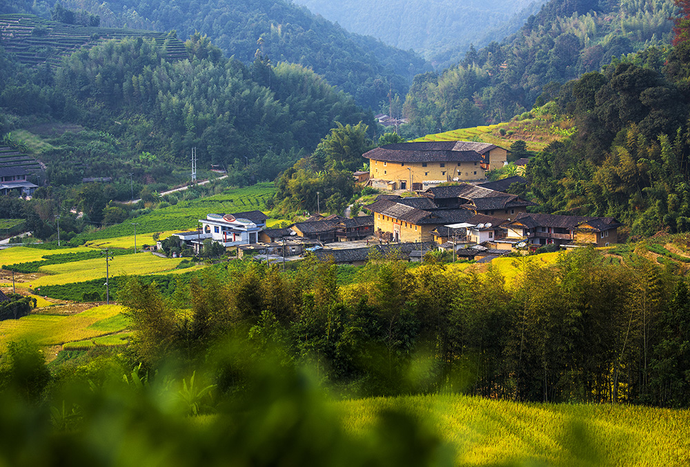 拍摄时间:2018年10月7日 .拍摄地点: 南靖县书洋镇奎坑村.图为秋季.