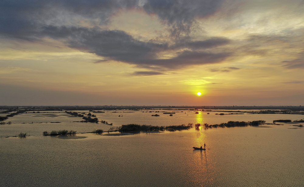 2018年9月26日拍摄于江苏泗洪洪泽湖湿地
