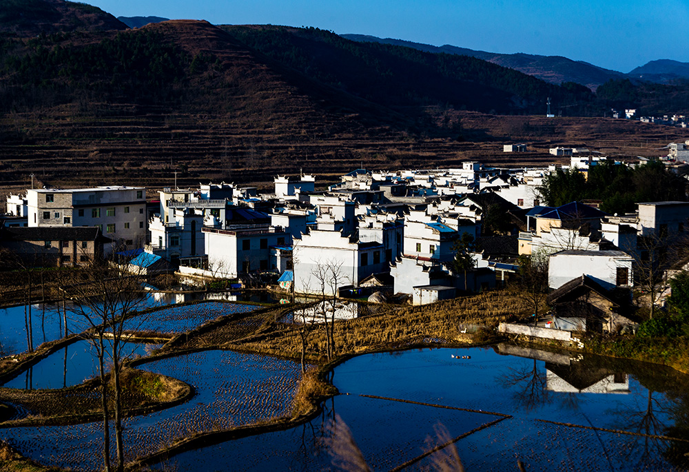 《蓝天碧水芭茅村》