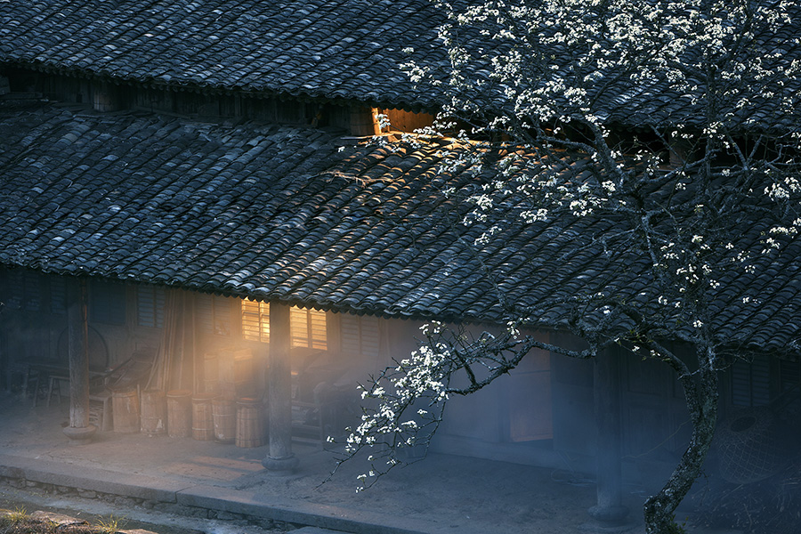 梨花院落是我家