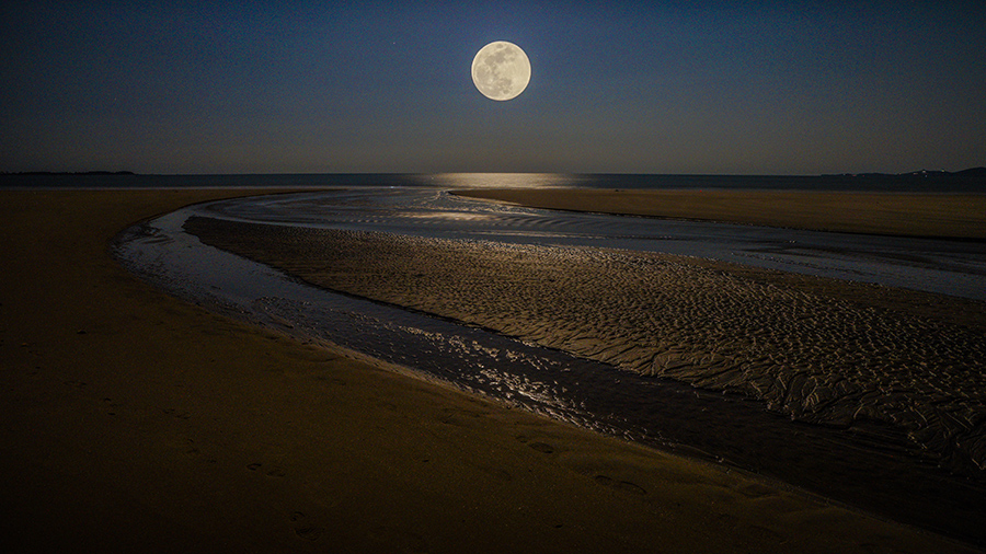 诗与月系列----海上生明月