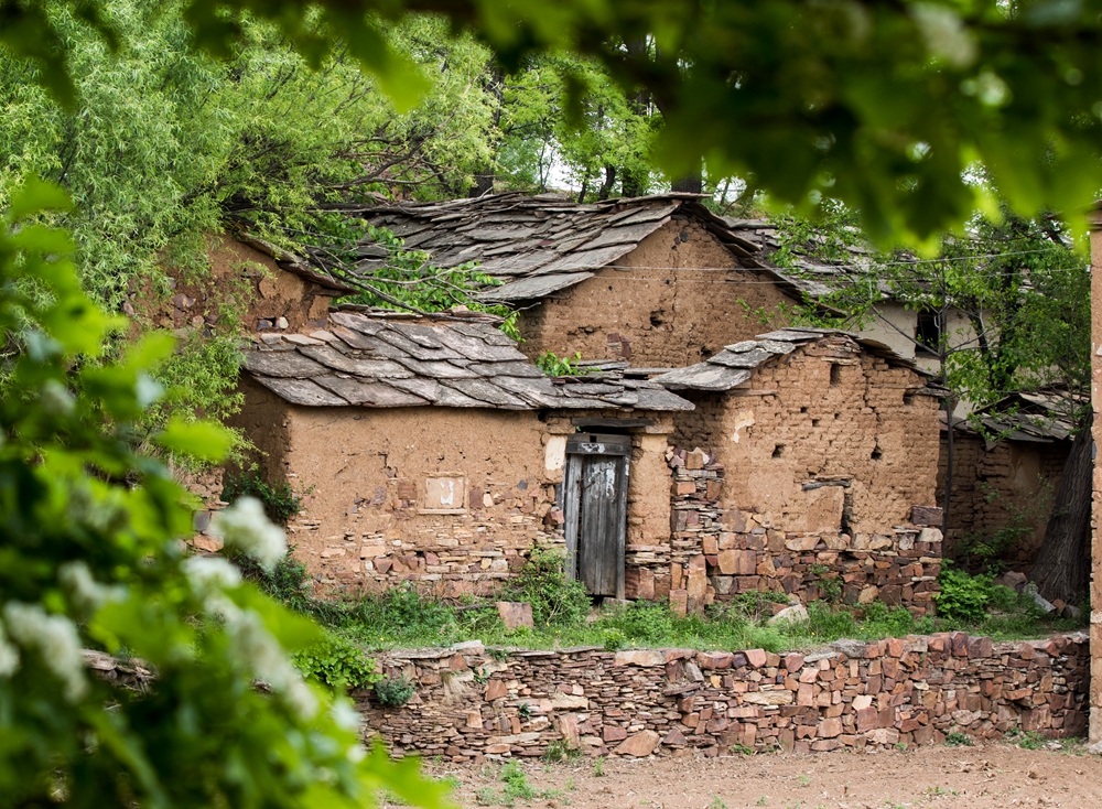 0好友  2528积分 金牌会员  2018年5月6日拍摄于河南省林州市石板岩