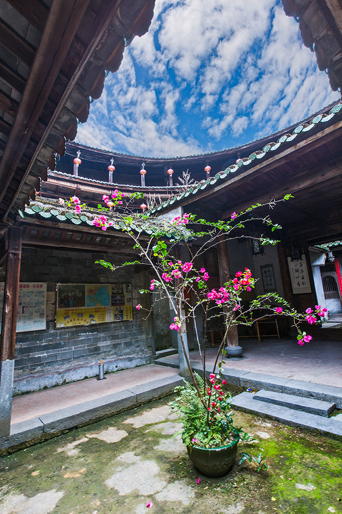 衍香楼里一枝花