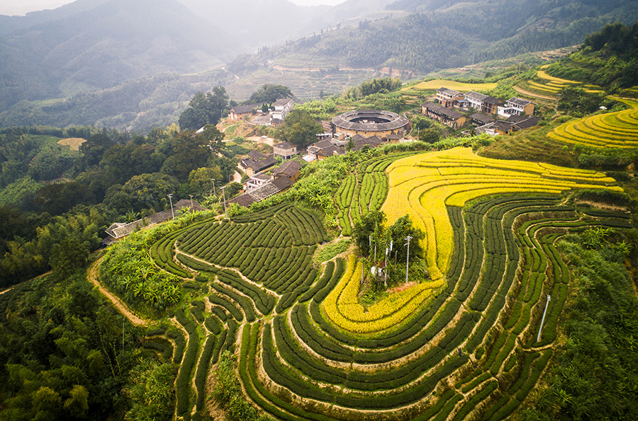 说明:上顶金色的稻香飘下山下的村庄土楼. .